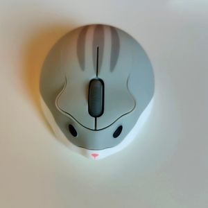 Wireless mouse